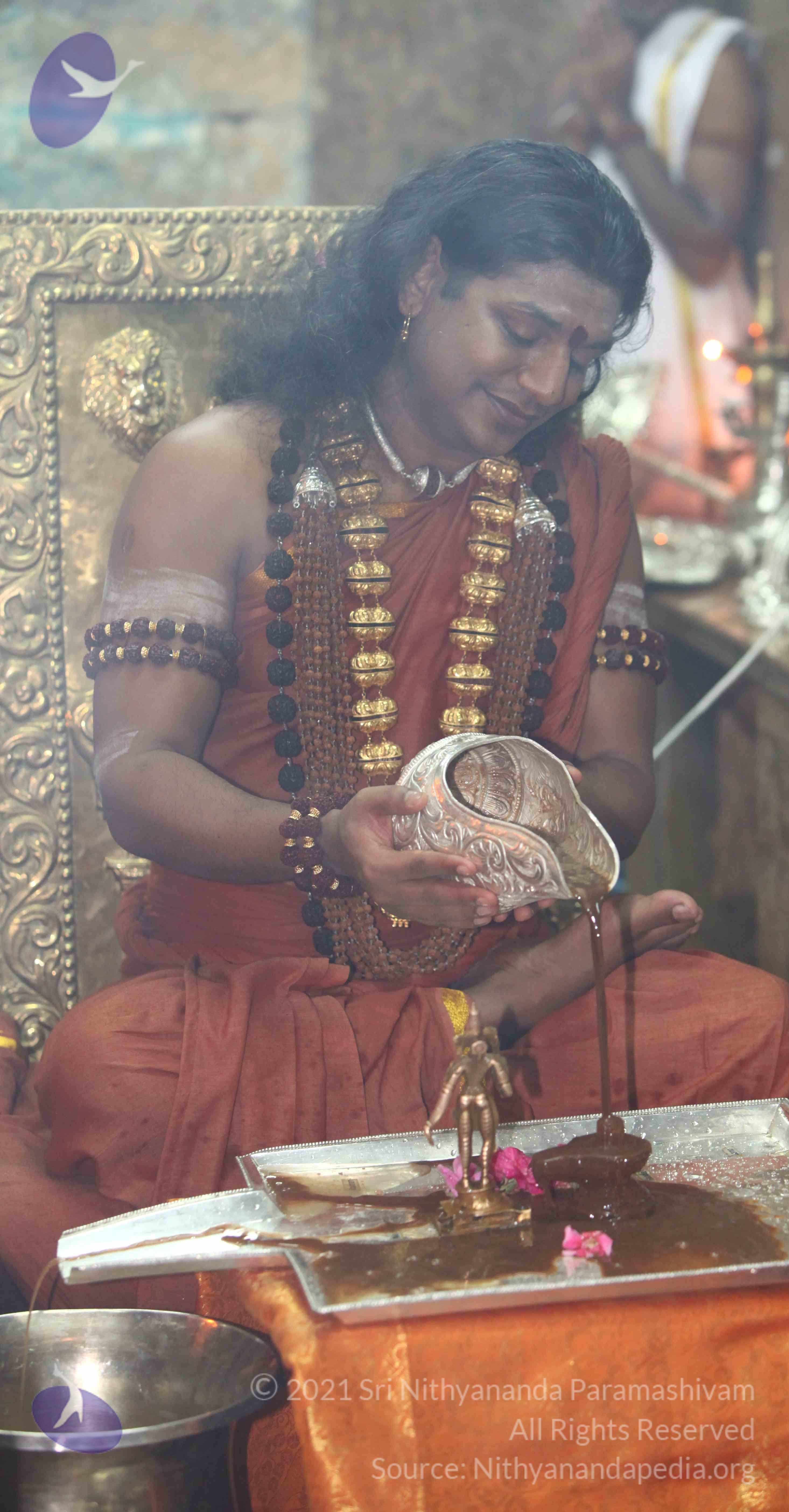 IMG_3241_CMP_WM Done